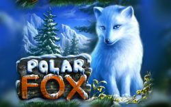 Игровой автомат Polar Fox в казино Азино777